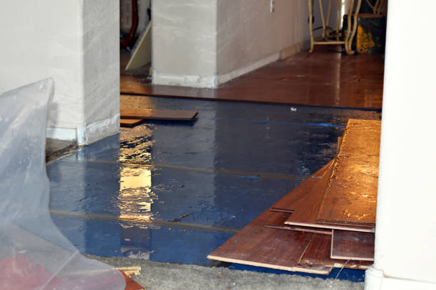 Professional Water Removal technician working in Buckley, MI